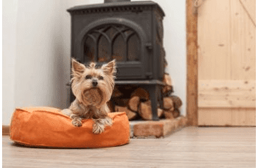 KULATÝ PELÍŠEK AMINELA FULL COMFORT 50/12CM ORANŽOVÁ