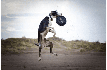 AMINELA FRISBEE FASTBACK CLASSIC BLACK