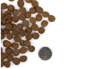 MARP HOLISTIC WHITE MIX SB - PRO MALÁ PLEMENA BEZ OBILOVIN VZOREK 70G