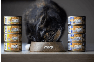 MARP HOLISTIC PLUS KONZERVA PRO KOČKY – KUŘE S KREVETAMI A BRUSINKAMI V ŽELÉ 70G