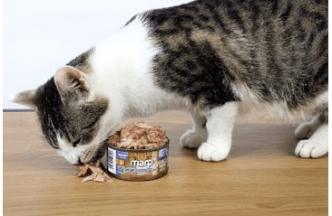 MARP HOLISTIC PLUS KONZERVA PRO KOČKY – TUŇÁK SE SARDINKAMI A BORŮVKAMI V ŽELÉ 24X70G