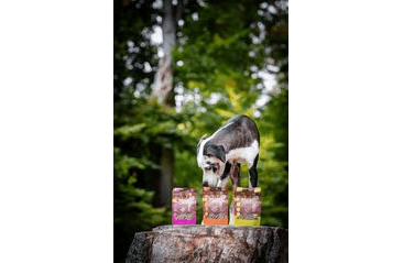 MARP HOLISTIC PLUS – FUNKČNÍ PAMLSKY NA PODPORU MOBILITY PRO PSY 80G