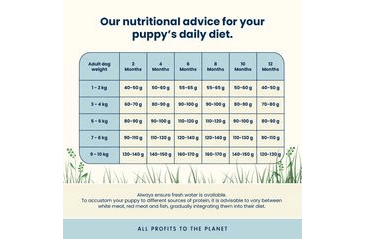 ALMO NATURE HOLISTIC PUPPY XS-S - S ČERSTVÝM KUŘECÍM 2KG