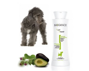 BIOGANCE ŠAMPÓN  NUTRI REPAIR 250ML