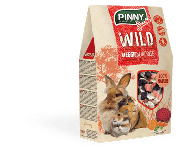 PINNY WILD SNACK VEGGIE SURPRISE 100G EXP 07/2025 SLEVA 20%