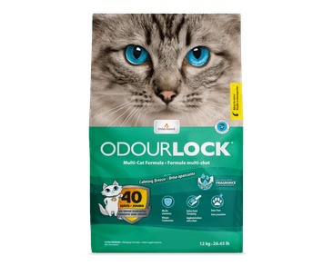 INTERSAND KOČKOLIT ODOUR LOCK - SVĚŽÍ VŮNĚ 6 KG ROZTRŽENÝ PYTEL SLEVA 30%
