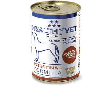 HEALTHYVET DIET DOG INTESTINAL - PODPORA TRÁVENÍ A SLINIVKY 400 G EXP 02/2024 SLEVA 50%