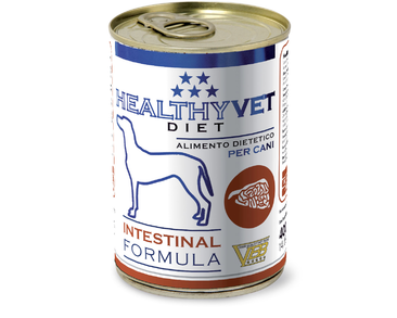 HEALTHYVET DIET DOG INTESTINAL - PODPORA TRÁVENÍ A SLINIVKY 400 G