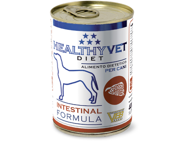 HEALTHYVET DIET DOG INTESTINAL - PODPORA TRÁVENÍ A SLINIVKY 400 G EXP 02/2024 SLEVA 40%