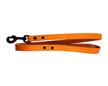 KOŽENÉ VODÍTKO HERRY, ČERNÉ KOVÁNÍ - ORANŽOVÁ