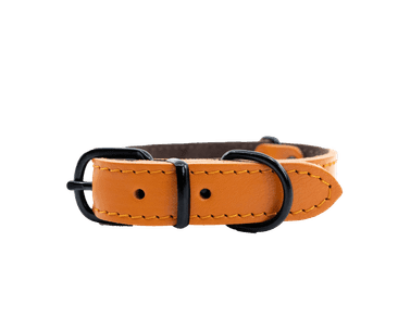 BAFPET KOŽENÝ OBOJEK HERRY MINI, ČERNÉ KOVÁNÍ - ORANŽOVÁ