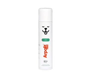 ARPALIT NEO SPRAY, ROZTOK K LÉČBĚ EKTOPARAZITÓZ I K DESINSEKCI PŘÍBYTKŮ ZVÍŘAT 300ML