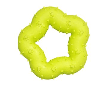 GUMOVÁ KYTKA - ZELENÁ