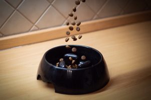 Jak se vyrábějí granule #13