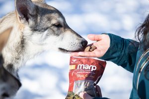 Jak se vyznat v pamlscích