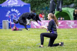 Aminela disky na ME a MS v dogfrisbee