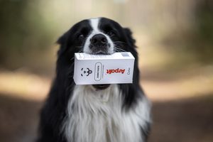 Existuje ještě vůbec sezóna klíšťat? #29