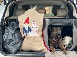 Vánoční sbírka s dětmi