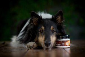 Doplňky stravy vhodné pro zimní sezónu