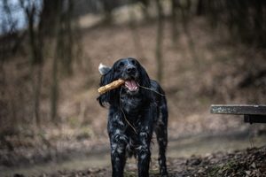 Jak na kožní problémy vyvolané kvasinkami