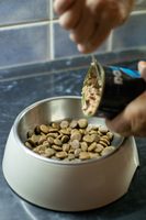 Jak se jednoduše vyznat ve složení krmiv?