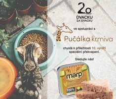 Podpoříte s námi projekt Dvacku za dvacku?