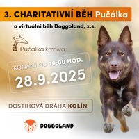 3. charitativní běh Pučálka + virtuální běh Doggoland