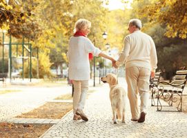 Kloubní obtíže u psů a jak je řešit