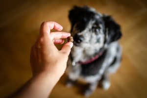 Krmíme granulemi #02