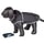 Nobby Rainy černá reflexní pláštěnka pro psa 29cm
