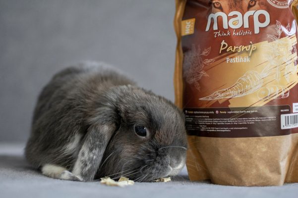 Náhlá smrt u králíků