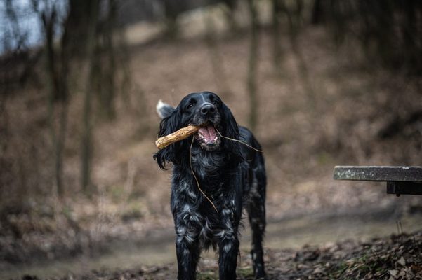 Jak na kožní problémy vyvolané kvasinkami