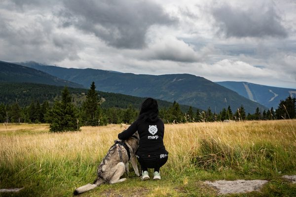 Vášeň pro psy, teď i ve vašem šatníku!