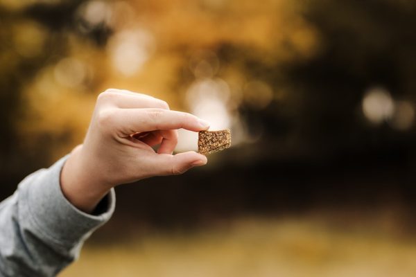 Jak se skutečně vyznat v labyrintu pamlsků
