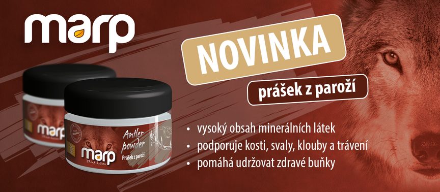NOVINKA | Prášek z paroží