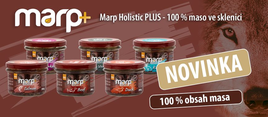 NOVINKA | 100 % maso ve sklenici