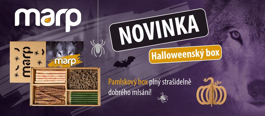 NOVINKA | Halloweenský pamlskový box