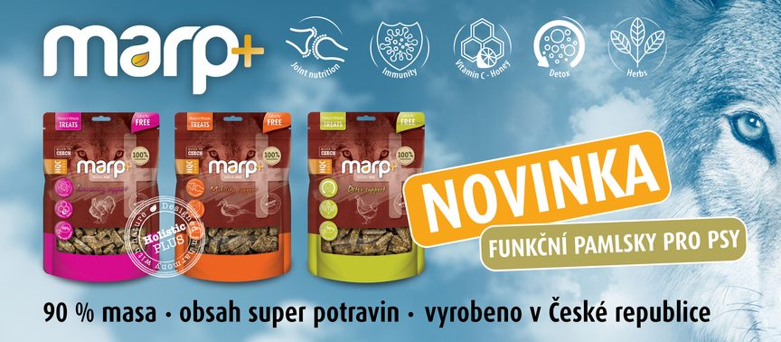 NOVINKA | Funkční pamlsky pro psy