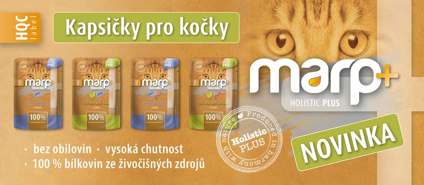 NOVINKA | Kapsičky pro kočky