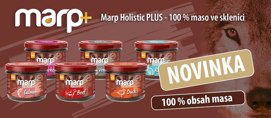 NOVINKA | 100 % maso ve sklenici