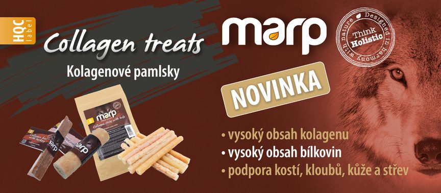 NOVINKA | Kolagenové pamlsky pro psy