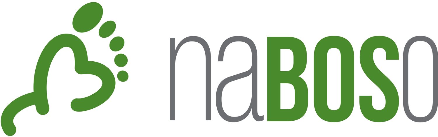 Logo naBOSo