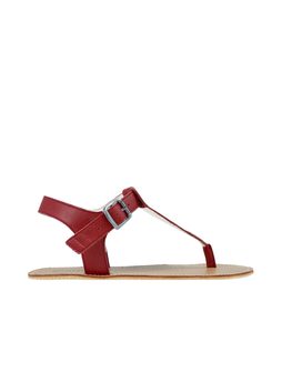 ANGLES ARES Burgundy 1