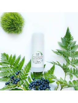 BIORYTHME 100% PŘÍRODNÍ DEODORANT BEZSODÝ V lese najde(š) se (velký) 1