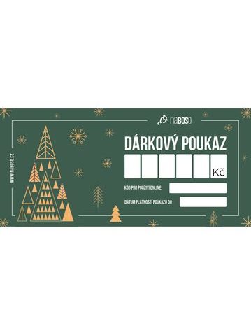 VÁNOČNÍ DÁRKOVÝ POUKAZ 1