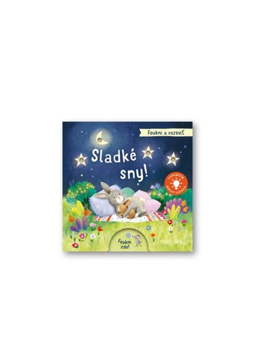 DĚTSKÁ KNIHA FOUKNI A ROZSVIŤ - SLADKÉ SNY!