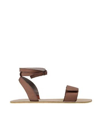 ANGLES ERYX Brown 1