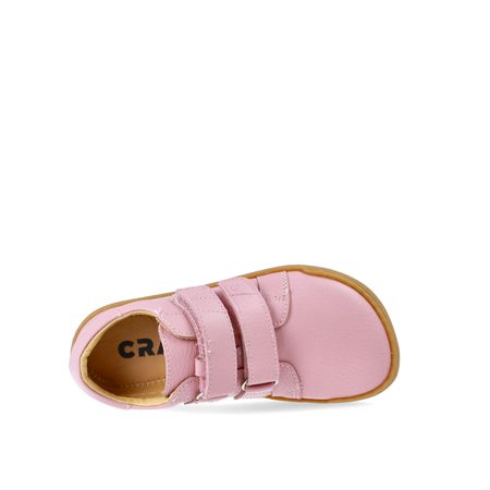 CRAVE SPRINGFIELD Rose 7