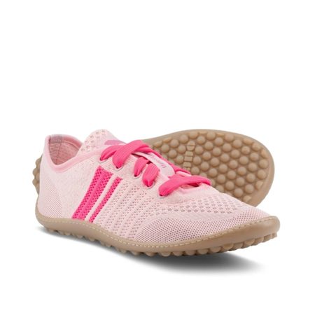 LEGUANO CARIBEO Rose