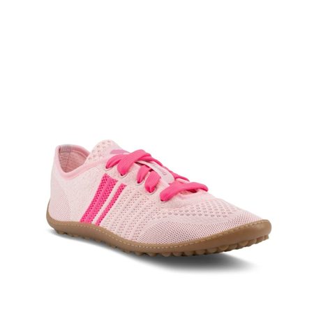 LEGUANO CARIBEO Rose